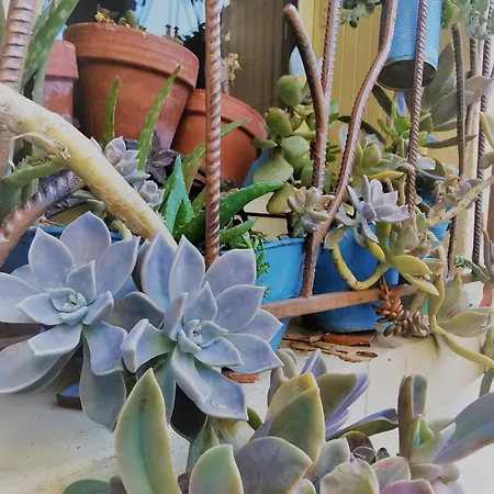 Maison Cosy Avec Cour Privative Au Coeur De L'auvergne - Fr-1-582-316 * Lempdes sur Allagnon